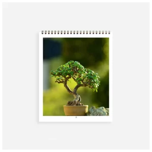 11 x 8.5 Calendars